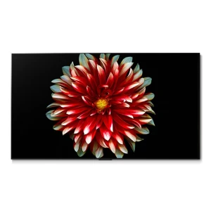 Product Image of the LG전자 4K UHD 올레드 evo 77인치 스마트 TV OLED77G4KNA, 벽걸이형, OLED77G4KNA, 방문설치, 77인치