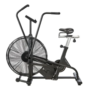 어썰트 AssaultBike Classic 에어바이크