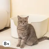 TOP11 고양이 모래매트 추천 추천 모델 정글몬스터 고양이 쏙쏙 모래 매트, 단일 색상, 8개