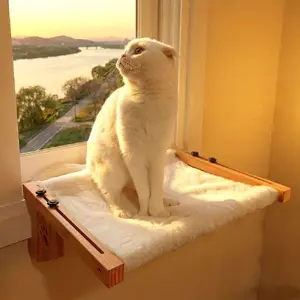 TOP13 고양이 창문 해먹 추천