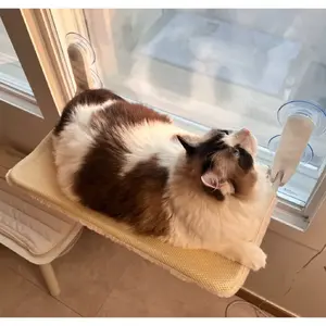 TOP13 고양이 창문 해먹 추천 서브 대표 이미지