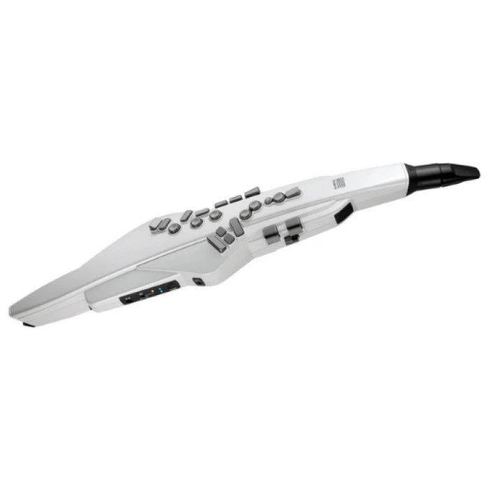 롤랜드 Aerophone AE-20W 화이트 본체 1대