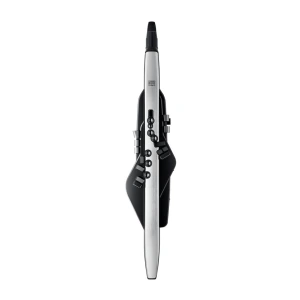 TOP10 가정용 전자 관악기 추천 추천 모델 롤랜드 Aerophone Pro AE-30