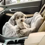 TOP16 강아지 카시트 추천 추천 모델 딩동펫 반려동물 플러피 카시트