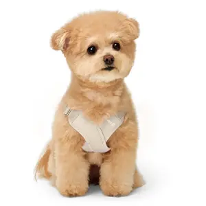 TOP14 강아지 하네스 추천 서브 대표 이미지