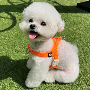 TOP14 강아지 하네스 추천 추천 모델 멍템 강아지 앞섬방지 팔레트 하네스, 네온 오렌지, 1개