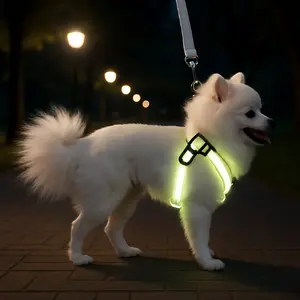 TOP14 강아지 하네스 추천 추천 모델 아일디 LED 라이트 하네스 발광 야간산책용, 화이트