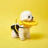TOP16 강아지 구명조끼 추천 추천 모델 위니즈 강아지 다이버 구명조끼, 블랙, 1개