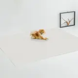 TOP13 강아지 미끄럼방지 매트 추천 추천 모델 디팡 반려견 미끄럼방지 펫플레이매트, 시크크리미, 1개