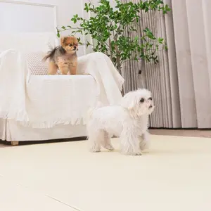 TOP13 강아지 미끄럼방지 매트 추천 추천 모델 이리로 강아지 슬개골탈구예방 미끄럼방지 방수 애견 러그형 복도 거실 매트, 샌드베이지/크림, 1개