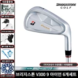 TOP10 골프 아이언 세트 추천 추천 모델 브리지스톤 V300 9 경량스틸 6개 세트