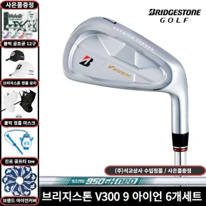 TOP10 골프 아이언 세트 추천 추천 모델 브리지스톤 V300 9 경량스틸 6개 세트