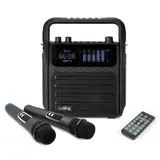 TOP6 가정용 노래방 마이크 추천 추천 모델 더씽 무선 마이크 2개 + 앰프, M300-Pro, 혼합색상