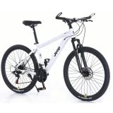 TOP7 입문용 MTB 자전거 추천 추천 모델 JEEP PT860 21단 디스크 MTB
