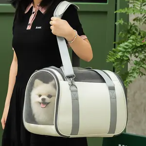 TOP15 반려동물 이동장 추천 추천 모델 클라민 강아지 고양이 이동가방 애견 이동장 캐리어, 1개, 아이보리