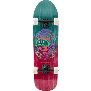 TOP7 입문용 스케이트보드 추천 추천 모델 Landyachtz ATV Perfecto Raccoon 9.0 컴플릿