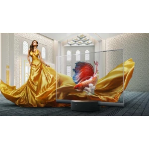 투명 TV·디스플레이 추천 10종: LG·샤오미·파나소닉 비교 추천 모델 샤오미 Mi TV LUX Transparent Edition 55형