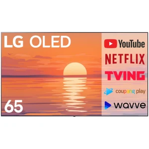 TOP7 벽걸이 OLED TV 추천 (2026)
