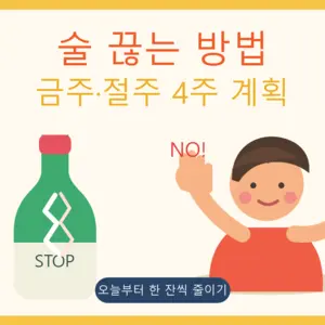 금주·절주 방법: 술을 줄이는 현실적인 4주 계획